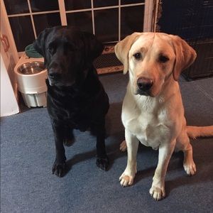 TOP RATED SELLER😀😀